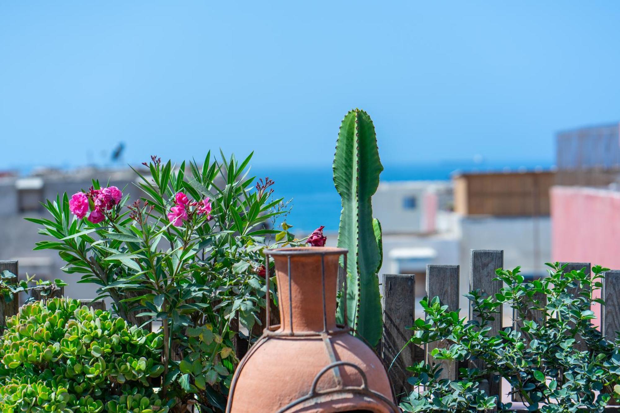 Anza Surfhouse Bed and Breakfast Agadir Exteriör bild